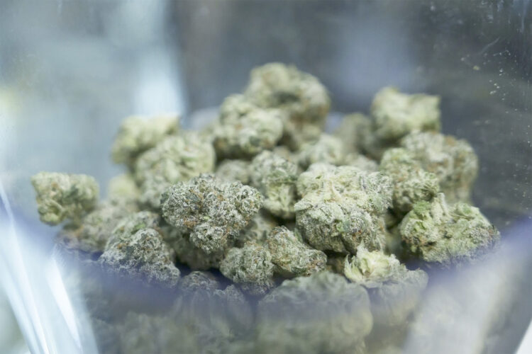 Amid tax pressure and competition, marijuana may leave rural Michigan